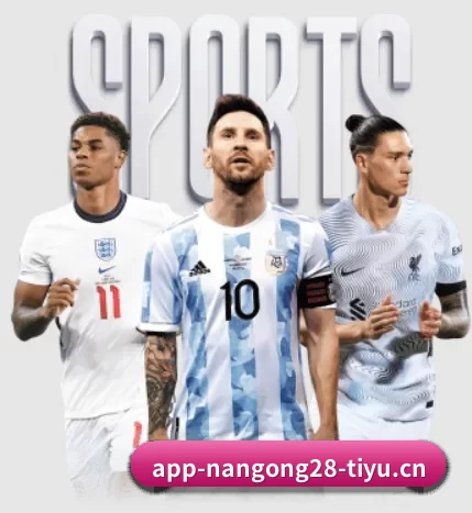 南宫28 APP